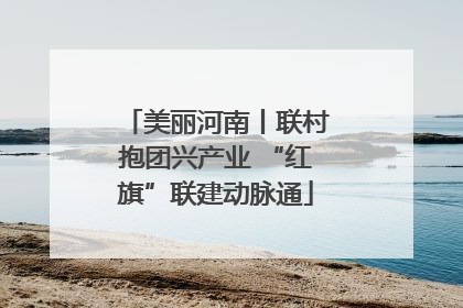 美丽河南丨联村抱团兴产业 “红旗”联建动脉通