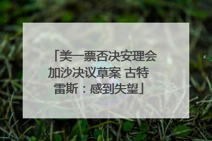 美一票否决安理会加沙决议草案 古特雷斯：感到失望