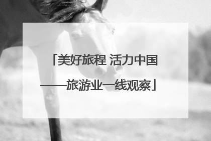美好旅程 活力中国——旅游业一线观察