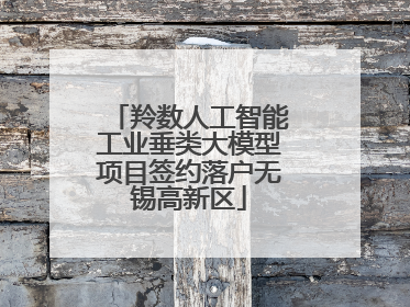 羚数人工智能工业垂类大模型项目签约落户无锡高新区