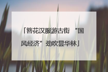 簪花汉服游古街 “国风经济”劲吹昙华林