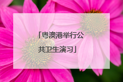 粤澳港举行公共卫生演习
