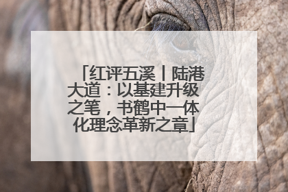 红评五溪丨陆港大道：以基建升级之笔，书鹤中一体化理念革新之章