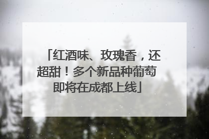 红酒味、玫瑰香，还超甜！多个新品种葡萄即将在成都上线