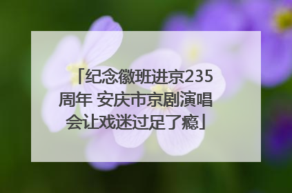 纪念徽班进京235周年 安庆市京剧演唱会让戏迷过足了瘾