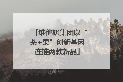 维他奶集团以“茶+果”创新基因连推两款新品