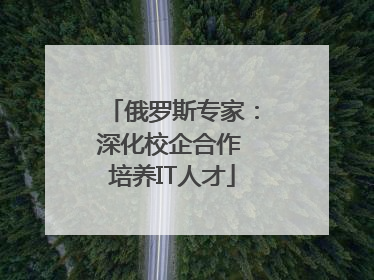 俄罗斯专家：深化校企合作 培养IT人才