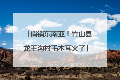 俏销东南亚！竹山县龙王沟村毛木耳火了