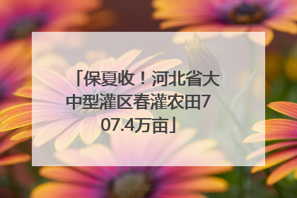 保夏收！河北省大中型灌区春灌农田707.4万亩