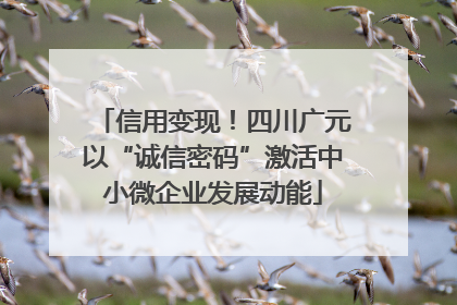 信用变现！四川广元以“诚信密码”激活中小微企业发展动能