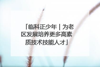 临科正少年｜为老区发展培养更多高素质技术技能人才