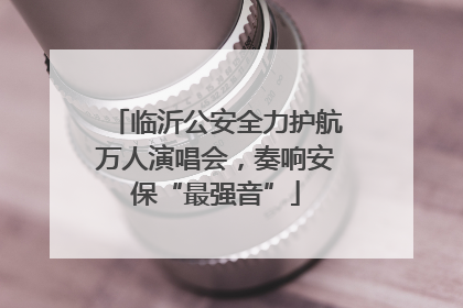 临沂公安全力护航万人演唱会，奏响安保“最强音”