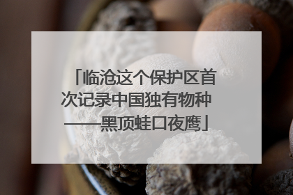 临沧这个保护区首次记录中国独有物种——黑顶蛙口夜鹰