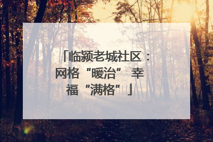 临颍老城社区：网格“暖治” 幸福“满格”