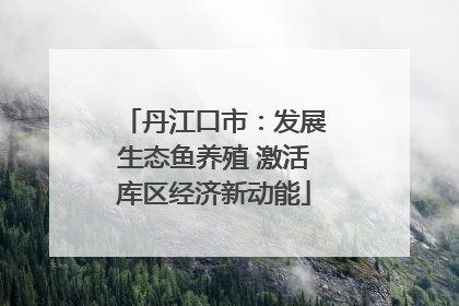 丹江口市：发展生态鱼养殖 激活库区经济新动能