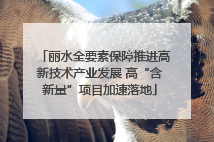丽水全要素保障推进高新技术产业发展 高“含新量”项目加速落地