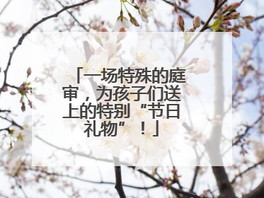 一场特殊的庭审，为孩子们送上的特别“节日礼物”！