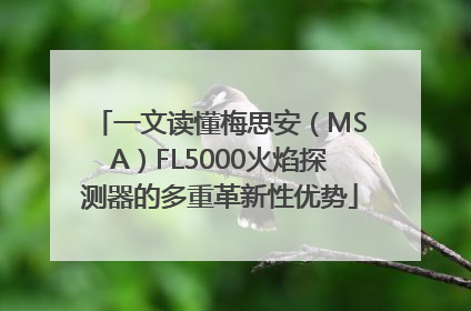 一文读懂梅思安（MSA）FL5000火焰探测器的多重革新性优势