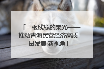 一根线缆的荣光——推动青海民营经济高质量发展·新视角