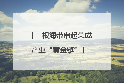 一根海带串起荣成产业“黄金链”