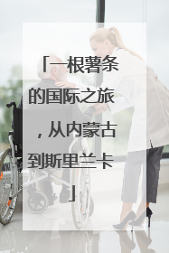一根薯条的国际之旅，从内蒙古到斯里兰卡