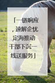 一链响应，速解企忧 定海推动干部下沉一线送服务