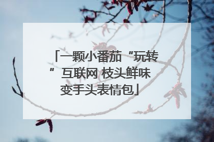 一颗小番茄“玩转”互联网 枝头鲜味变手头表情包