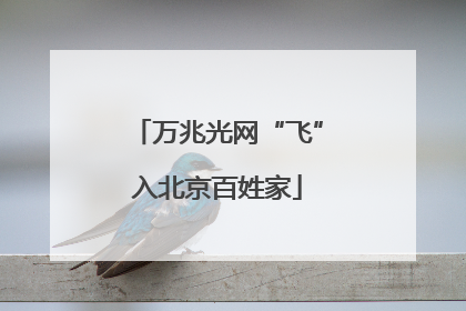 万兆光网“飞”入北京百姓家