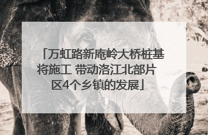 万虹路新庵岭大桥桩基将施工 带动洛江北部片区4个乡镇的发展