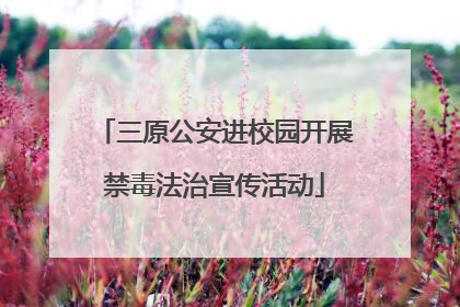三原公安进校园开展禁毒法治宣传活动