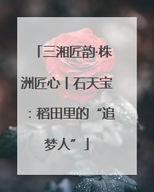 三湘匠韵·株洲匠心丨石天宝：稻田里的“追梦人”