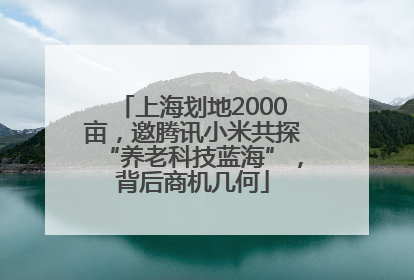 上海划地2000亩，邀腾讯小米共探“养老科技蓝海”，背后商机几何
