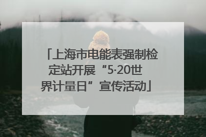 上海市电能表强制检定站开展“5·20世界计量日”宣传活动