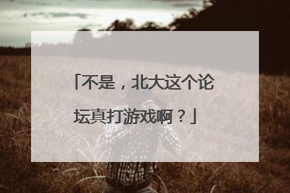 不是，北大这个论坛真打游戏啊？