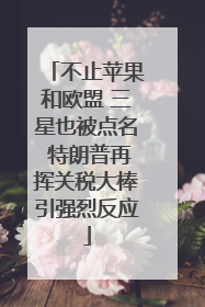 不止苹果和欧盟 三星也被点名 特朗普再挥关税大棒引强烈反应