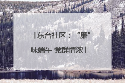 东台社区：“廉”味端午 党群情浓