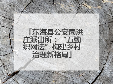 东海县公安局洪庄派出所：“五勤织网法”构建乡村治理新格局