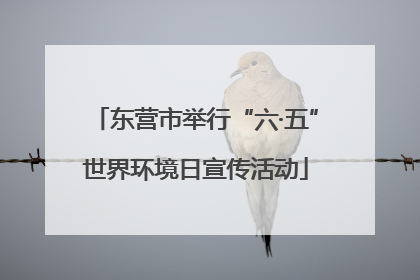 东营市举行“六·五”世界环境日宣传活动