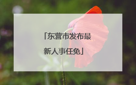 东营市发布最新人事任免