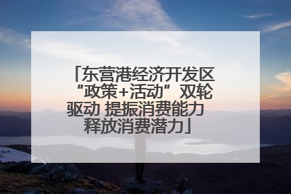 东营港经济开发区“政策+活动”双轮驱动 提振消费能力 释放消费潜力