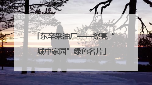 东辛采油厂——擦亮“城中家园”绿色名片