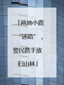 两地小鹿“迷路”，警民携手放归山林