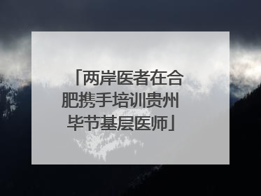 两岸医者在合肥携手培训贵州毕节基层医师