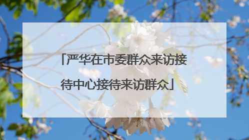 严华在市委群众来访接待中心接待来访群众