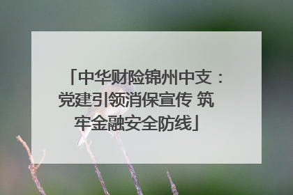 中华财险锦州中支：党建引领消保宣传 筑牢金融安全防线