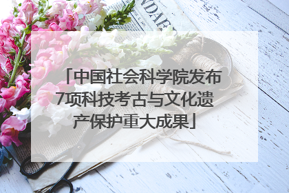 中国社会科学院发布7项科技考古与文化遗产保护重大成果