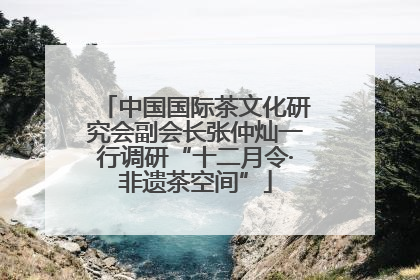 中国国际茶文化研究会副会长张仲灿一行调研“十二月令·非遗茶空间”