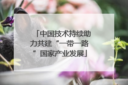 中国技术持续助力共建“一带一路”国家产业发展