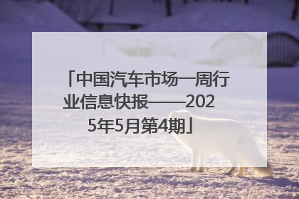 中国汽车市场一周行业信息快报——2025年5月第4期