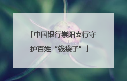中国银行崇阳支行守护百姓“钱袋子”
